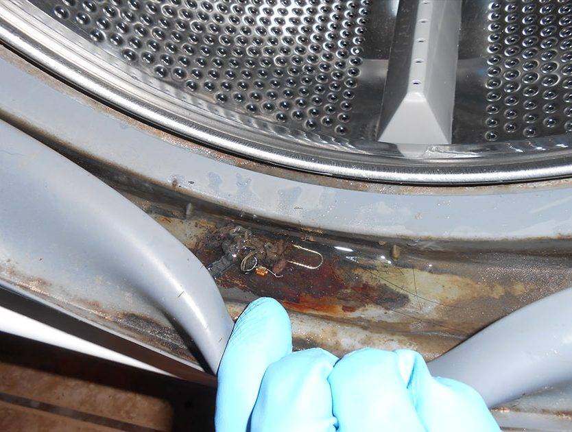 10 средств для избавления и очистки от плесени в стиральной машине