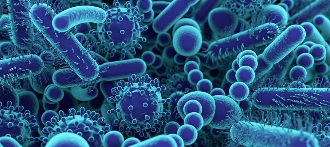 6 объективных причин не бояться микробов