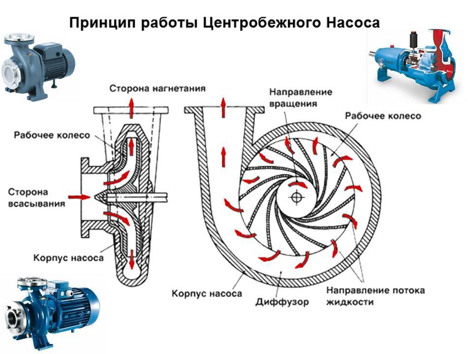 Принцип работы плунжерного насоса высокого давления - servis-prof.ru