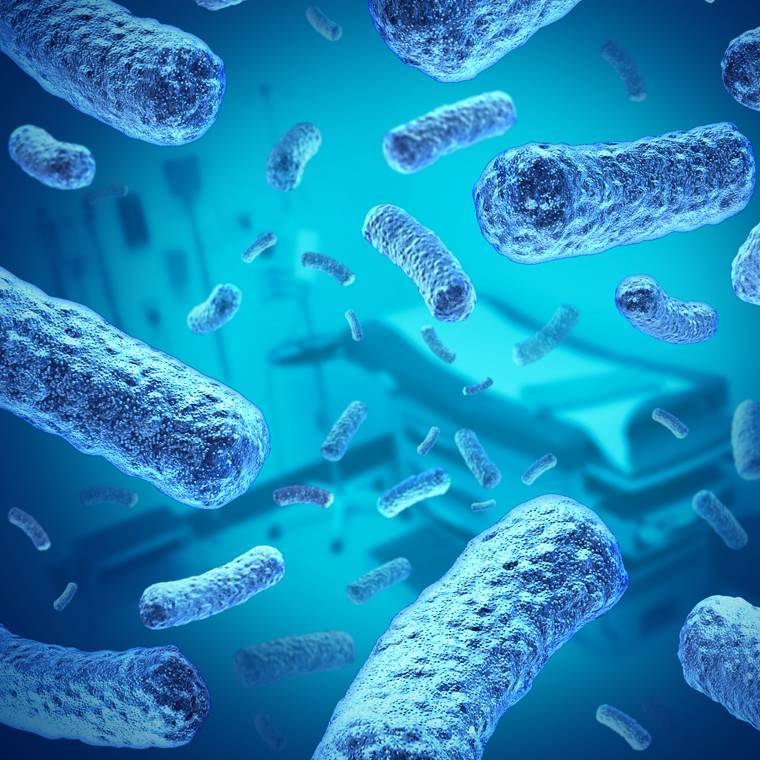 10 кишащих бактериями вещей, которые вы постоянно носите с собой :: инфониак