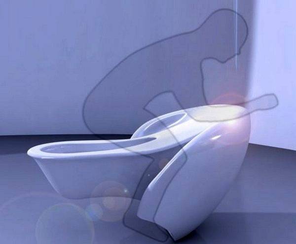 5 главных условий оформления дизайна туалета: 135 фото