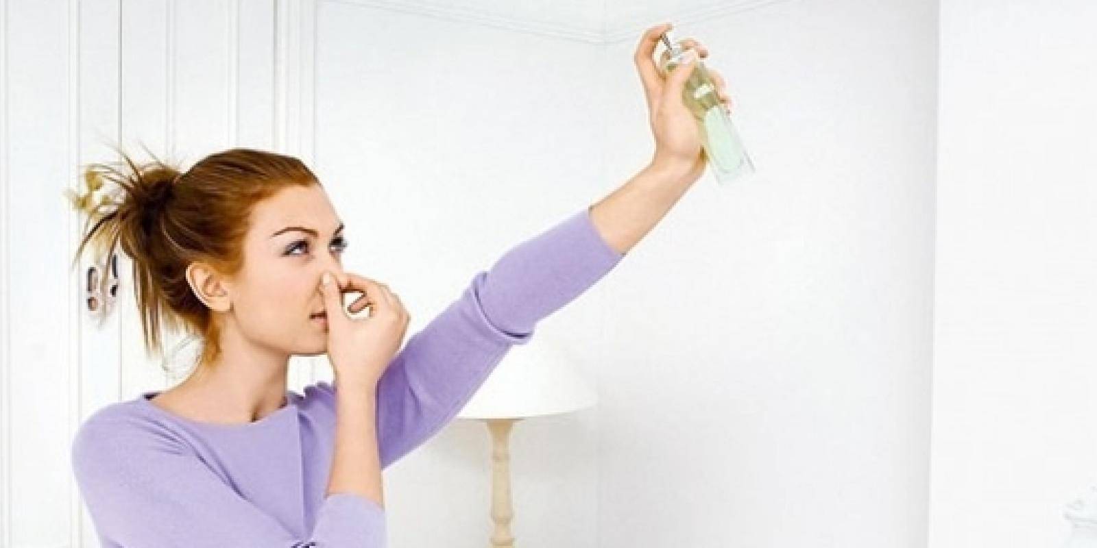 Полезные советы, как быстро убрать неприятный запах в квартире и частном доме