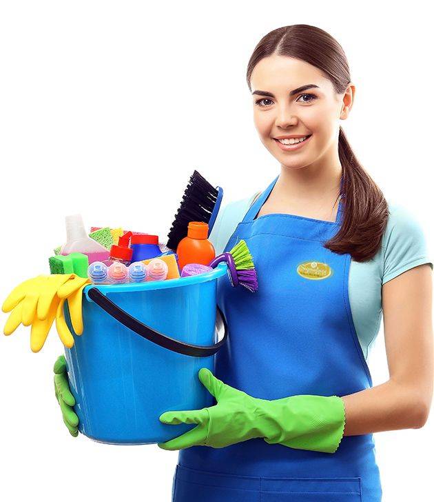 Обзор чистящих и моющих средств