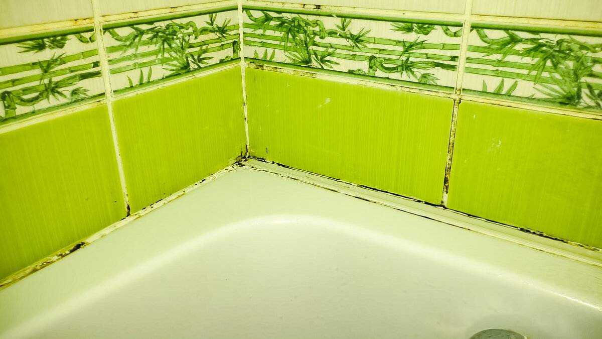 Как удалить плесень в ванной комнате, фото / уксус против грибка в душе, видео