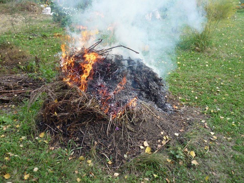 Как сжигать мусор на приусадебном участке: законные способы, в бочке, в яме
