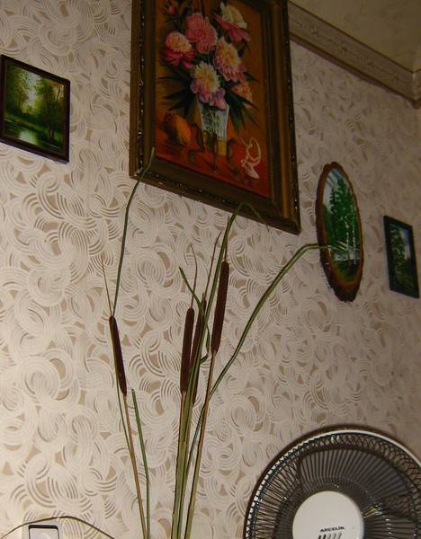 Кириллица  | «мужегон» и «цветы покойника»: какие растения нельзя держать в доме