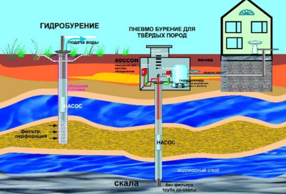 ✅ как найти воду на участке для скважины: различные способы поиска - dnp-zem.ru