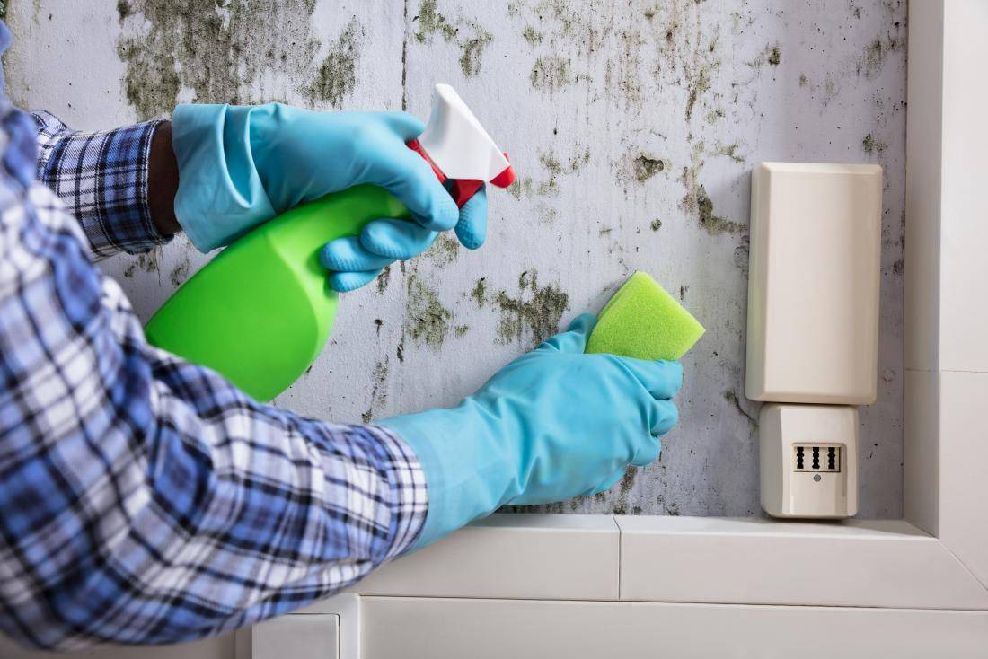 Неприятный запах в квартире: как избавиться в домашних условиях