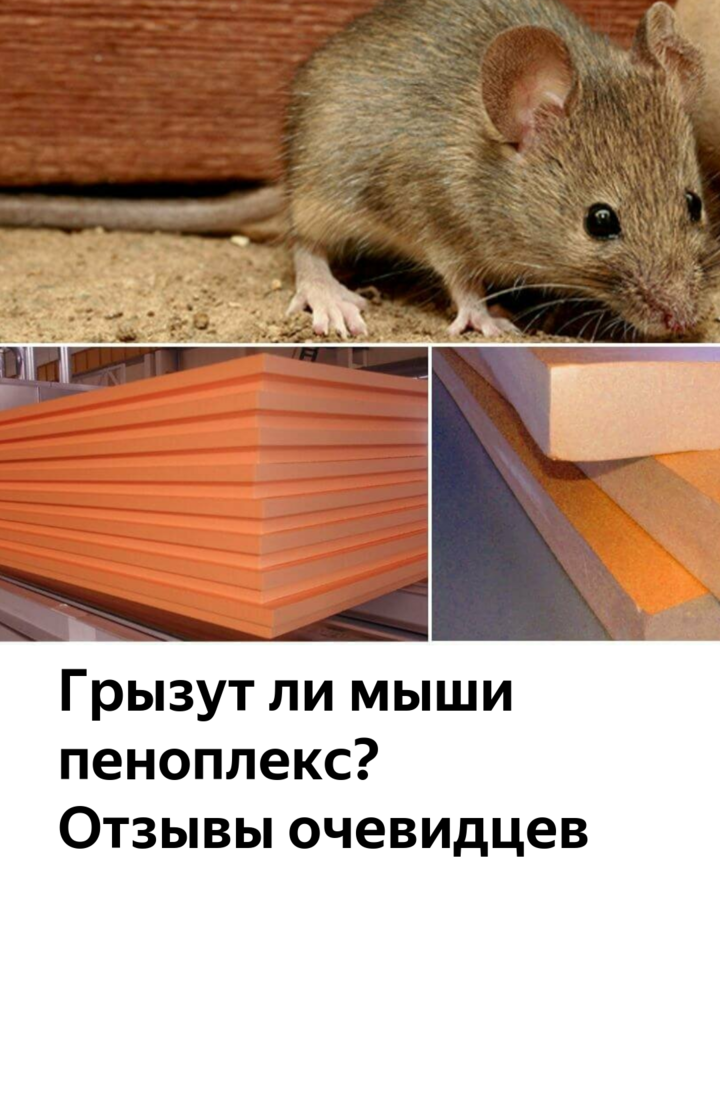Какой утеплитель не едят крысы и мыши