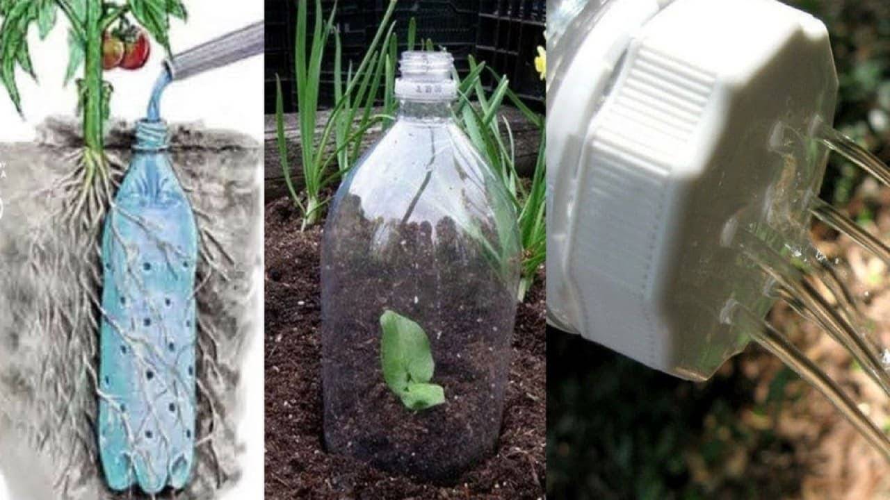Применение пластиковых бутылок на даче: подборка идей