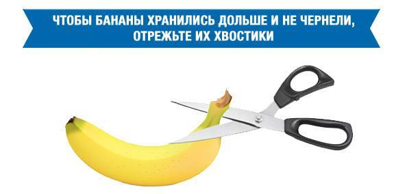 Как правильно хранить бананы дома, чтобы они не чернели, можно ли замораживать