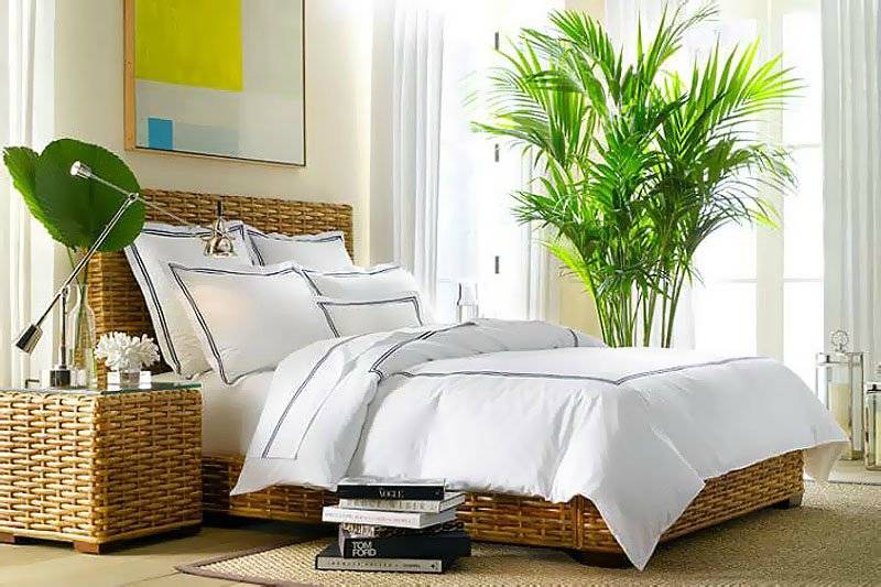 Рейтинг лучших комнатных растений для спальни - дарим позитив