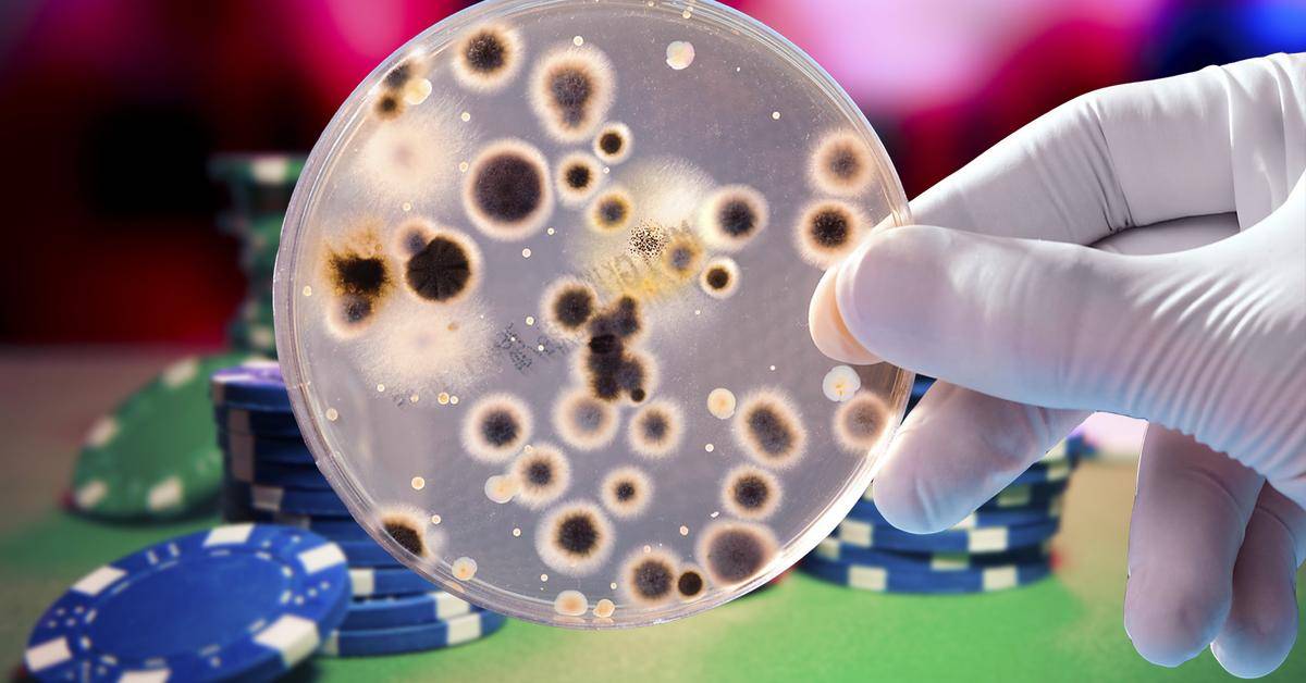 Исследование наличия микроорганизмов на руках человека | статья в журнале «юный ученый»
