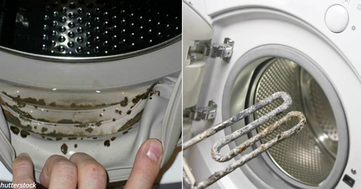Как очистить лоток для порошка в стиральной машине: народные и химические средства, как часто использовать