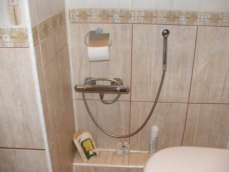 Гигиенический душ для унитаза со смесителем: достойная альтернатива биде – советы по ремонту